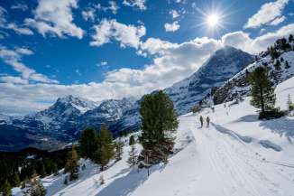 Winterwanderung auf verschneiten Winterwanderwegen rund um Grindelwald. Die Wanderer geniessen den sonnigen Tag und imposanten Ausblick auf den Eiger.
