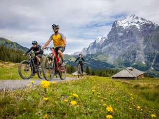 Drei Biker mit dem Schreckhorn im Hintergrund fahren neben gelben Blumenwiesen vorbei.