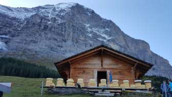 Burehofglace Grindelwald