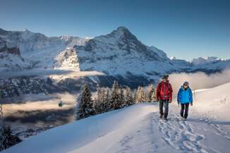 Winterwanderung auf verschneiten Winterwanderwegen rund um Grindelwald. Die Wanderer geniessen den sonnigen Tag und imposanten Ausblick auf den Eiger.