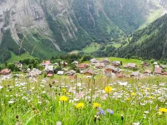 Das autofreie Bergdorf Gimmelwald, fotografiert von einer sommerlichen Blumenwiese.