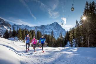 Läufer*innen beim Winter Trail Running entlang der Firstbahn in Grindelwald. Im Hintergrund der Eiger.