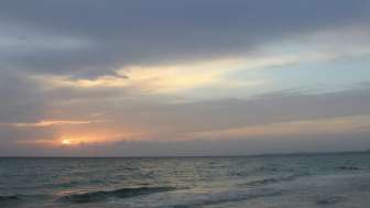 Aromatherapie Craniosacral